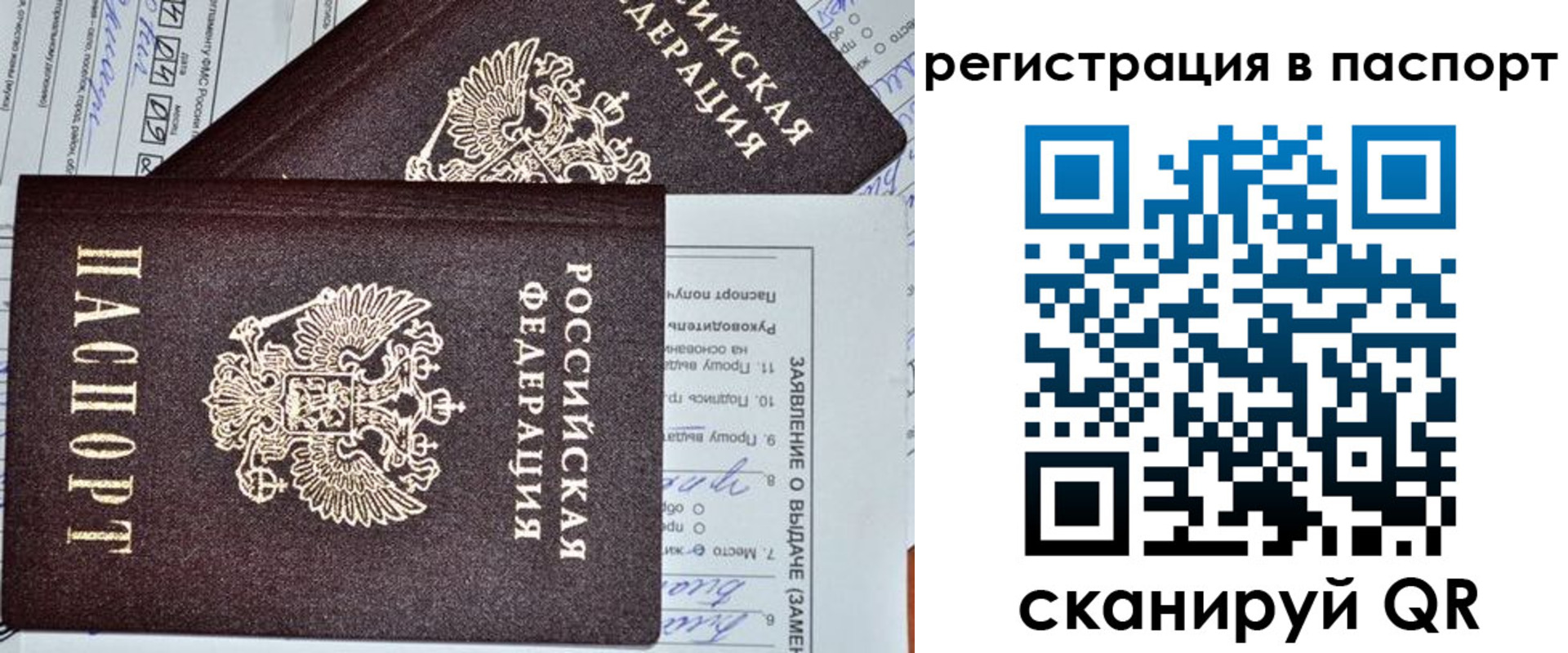 прописка законно в Белореченске